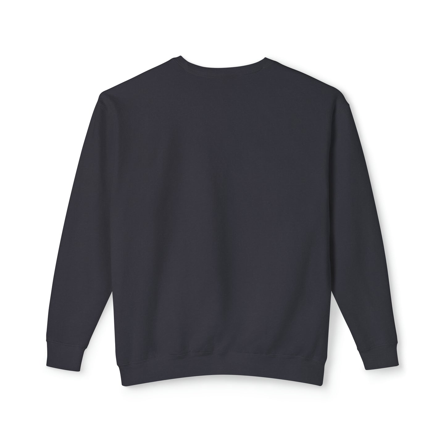 Relaxed Fit Lightweight Crewneck Sweatshirt