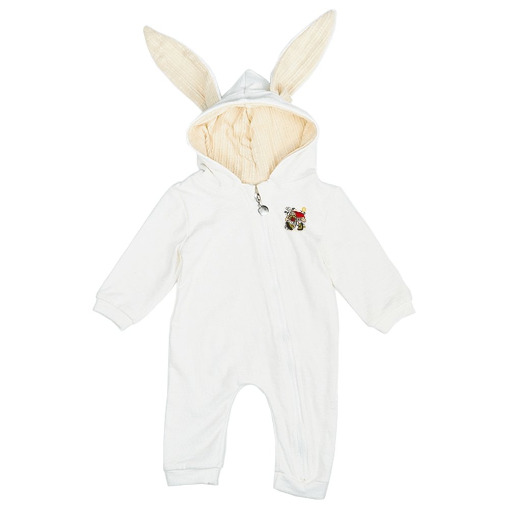 Frame House Baby's Zipper Hooded Rompers - Mishastyle