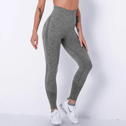 High Waist Seamless Gym Leggings - BG - Mishastyle