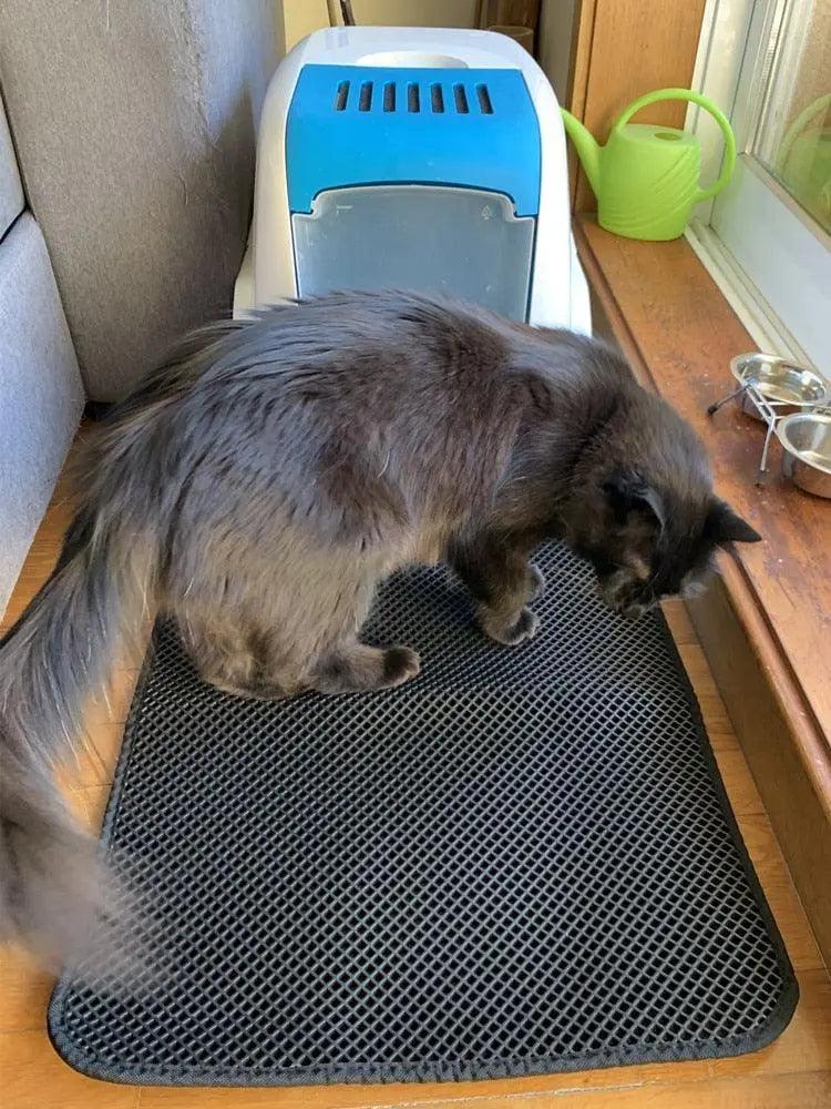 Waterproof Cat Double Layer Litter Mat - Mishastyle